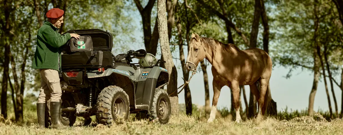 Apoyo en tareas veterinarias