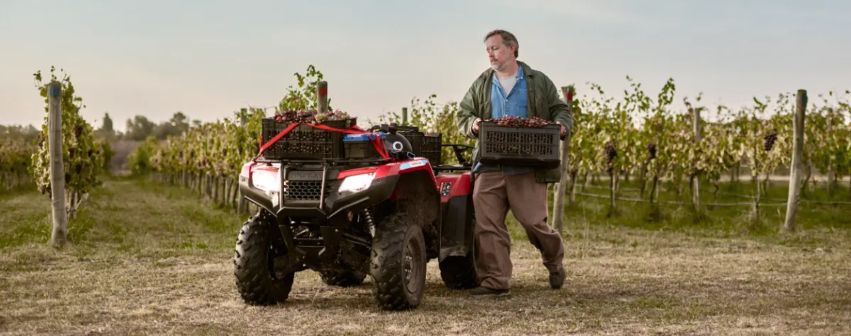 Recolección de cosecha