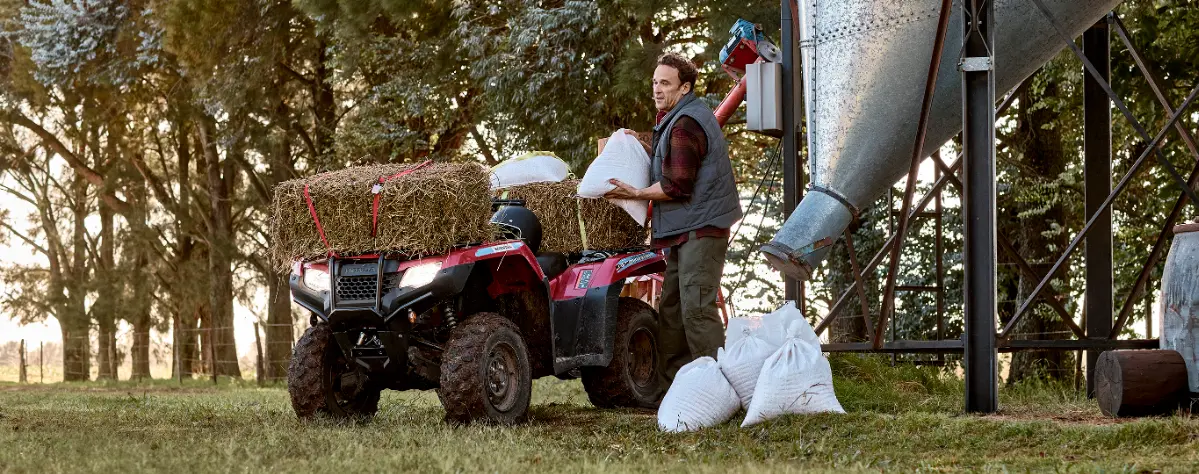 Traslado de alimentos