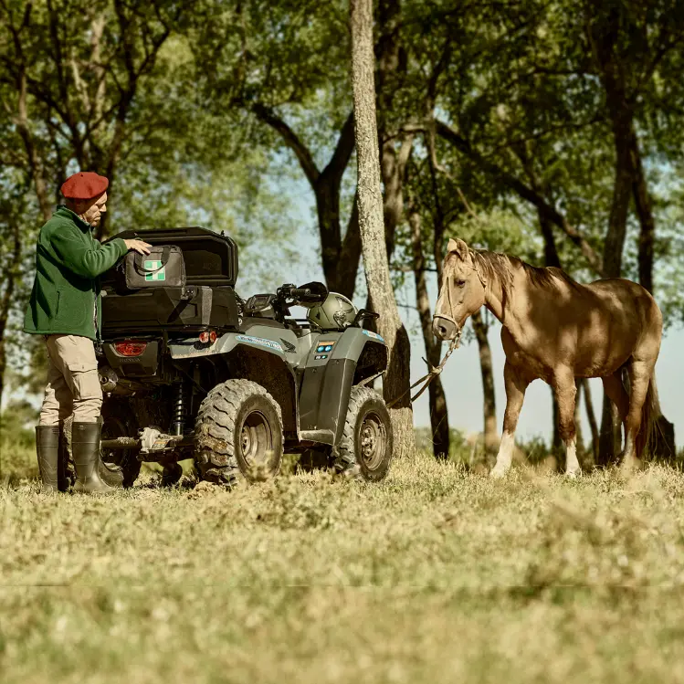 Apoyo en tareas veterinarias