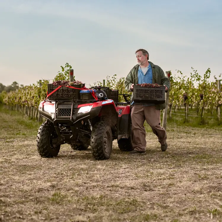 Recolección de cosecha